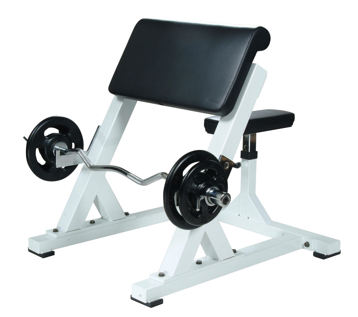 YORK Preacher Curl Machine, White