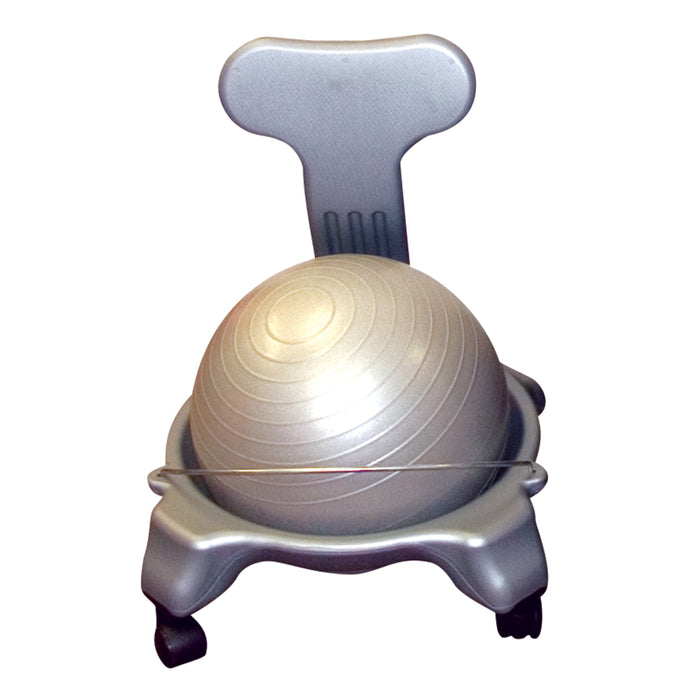 Fitness Ball Chair