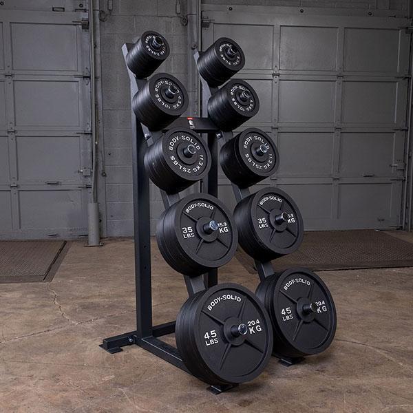 Body-Solid GWT76 High Capacity Olympic Plate Rack