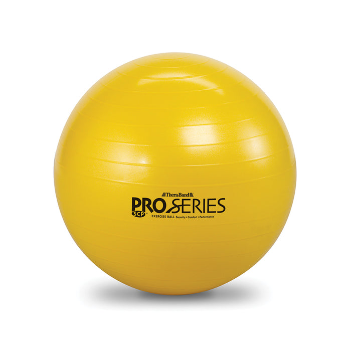 Pro Series Exercise Ball Only