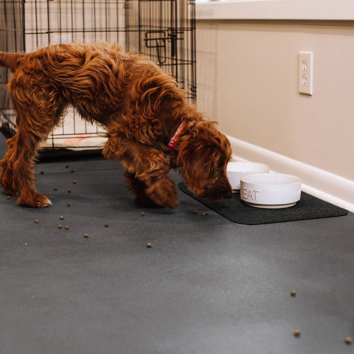 Pet Parent Kit with  5' x 10' Levant Floor Protector, Kennel Mat & Grey Pet Bowl Mat
