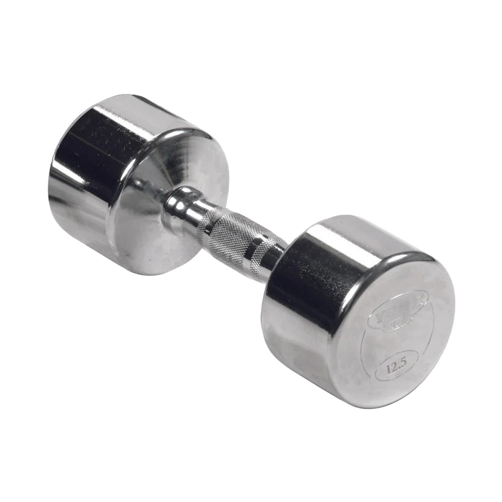 York 2024 dumbbells 12.5 pounds each