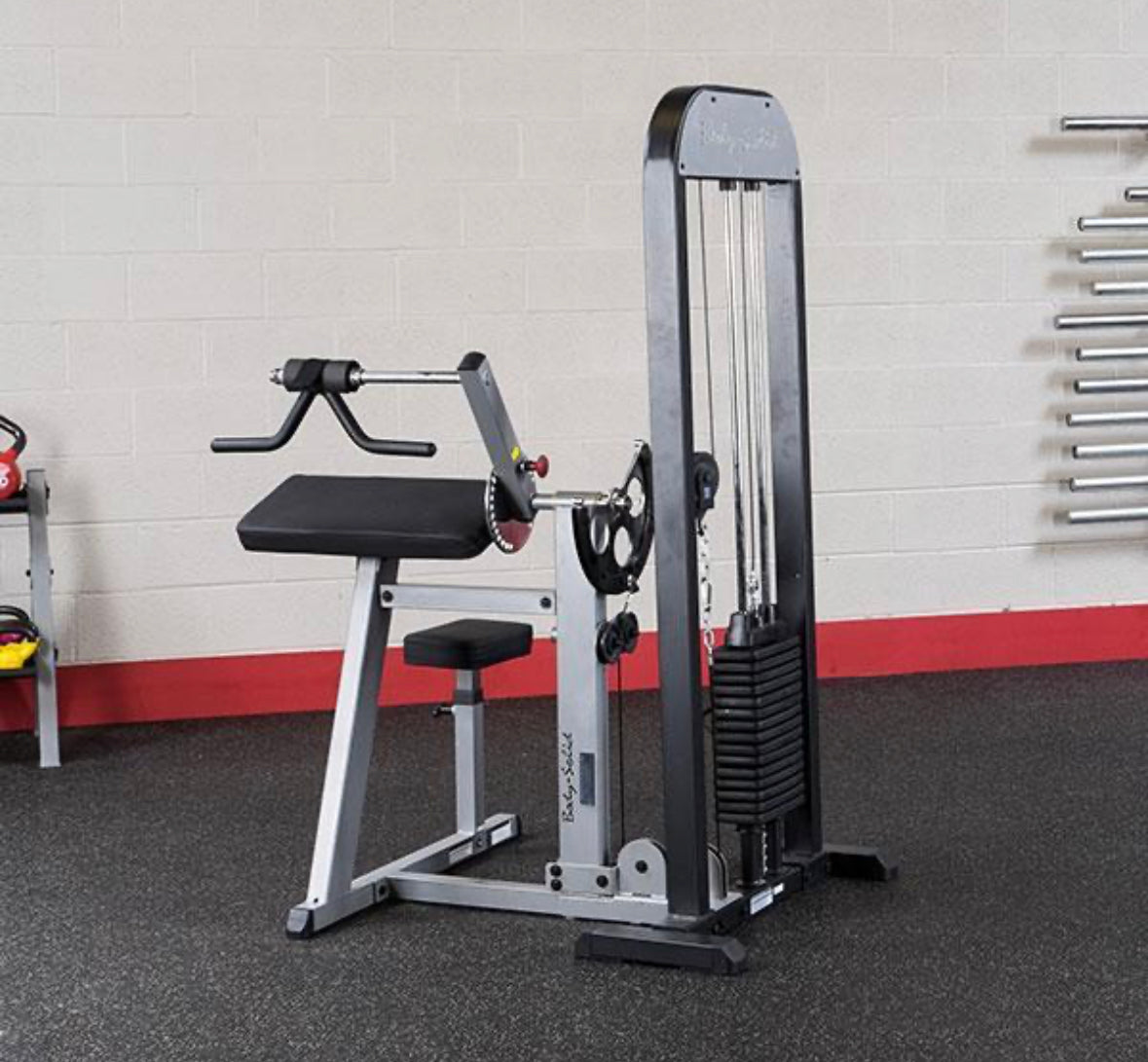 Body-Solid Pro Select Bicep Tricep Machine