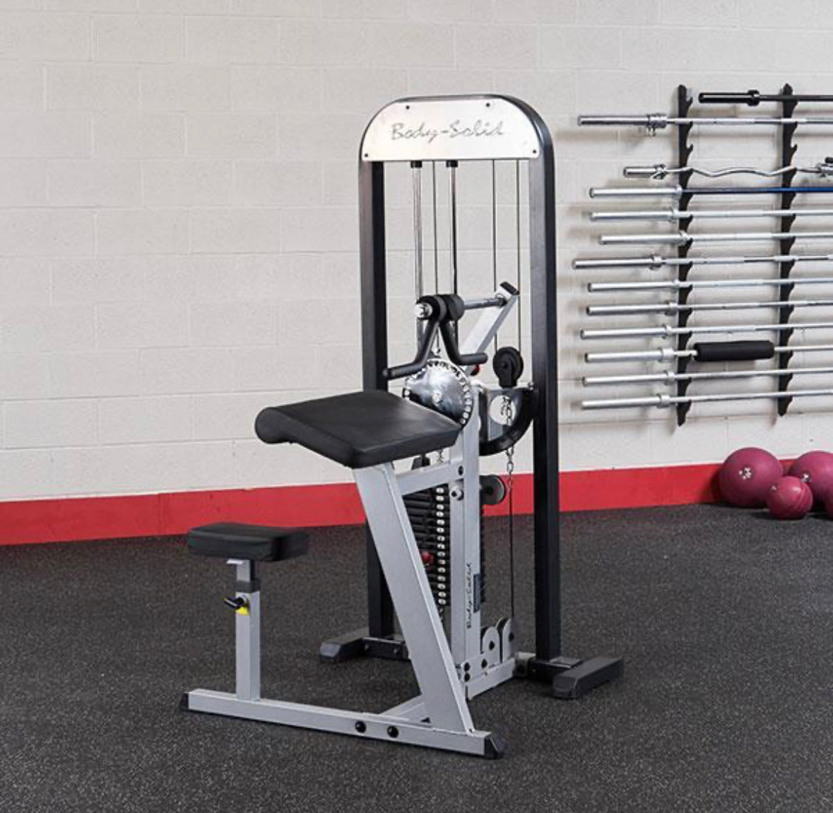 Body-Solid Pro Select Bicep Tricep Machine